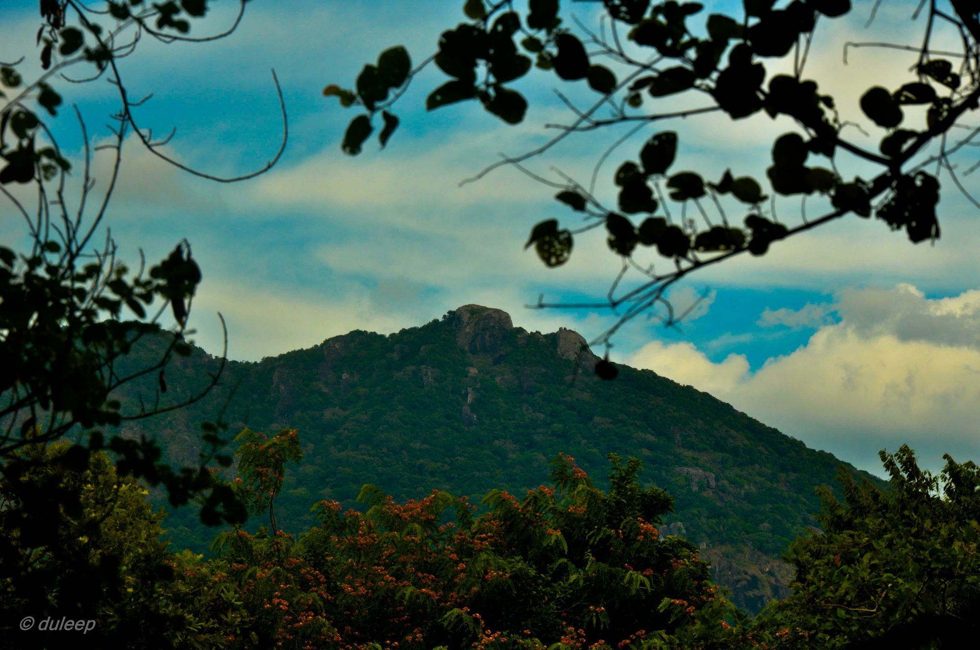 Amaranta Classic Retreat Bambaragaleyaya Buitenkant foto